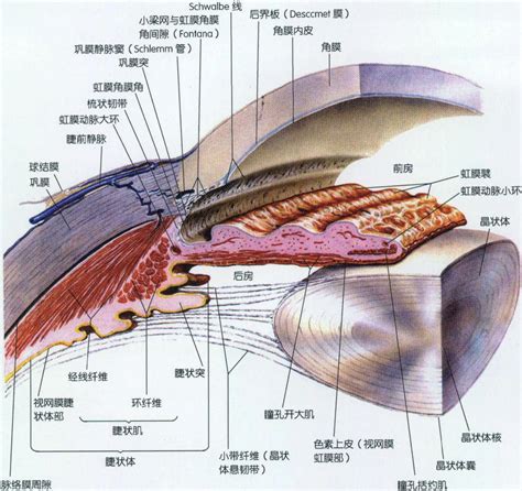 隅角是什麼